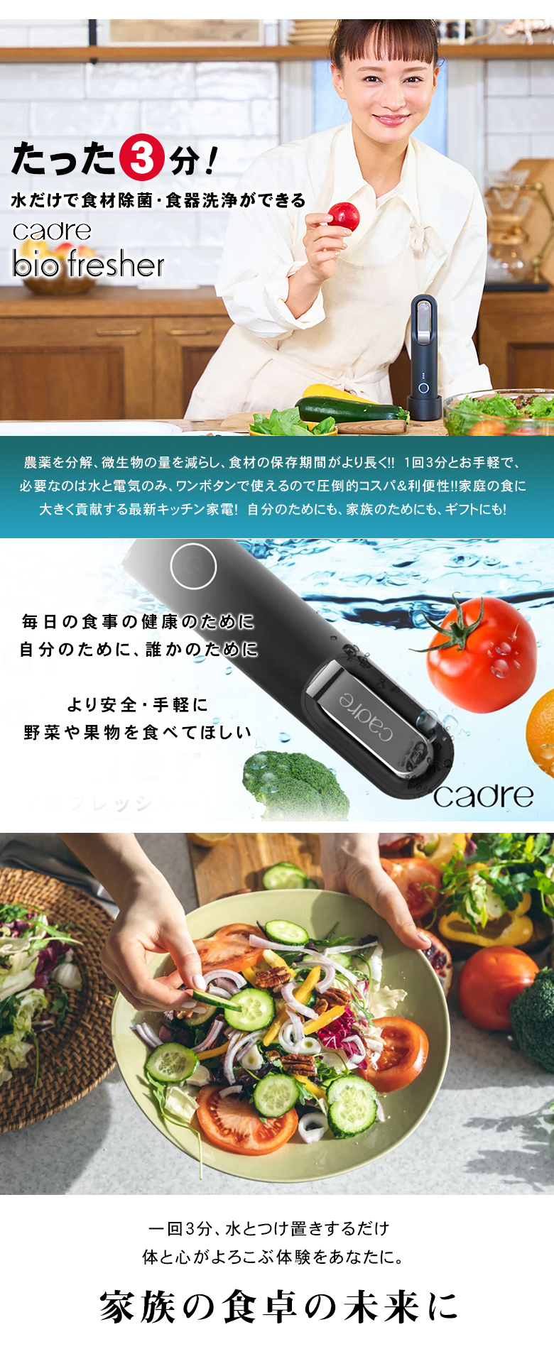 cadre bio fresher カドレ バイオフレッシャー コードレス食品洗浄機