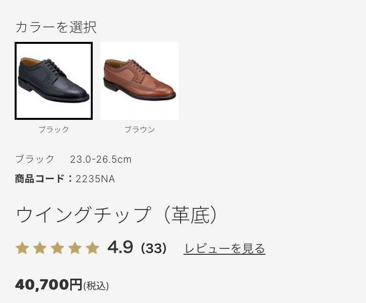 REGAL（リーガル） 靴 メンズ ビジネスシューズ 2235NA 本革 ウイング