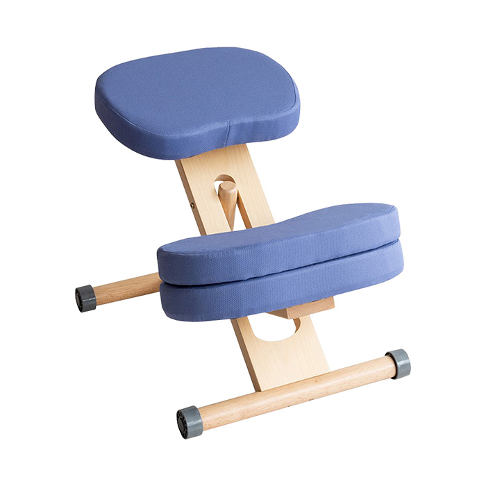 バランスチェア プロポーションチェア 姿勢 椅子 学習椅子 子供 大人