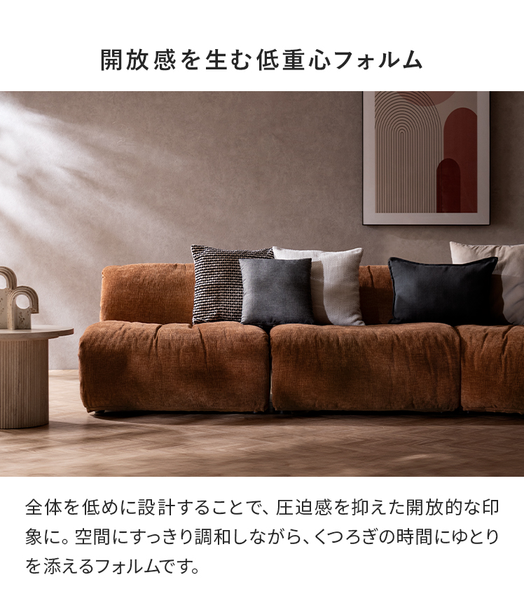 エア・リゾーム ソファー 一人掛け ローソファー ソファ 1人 一人掛け