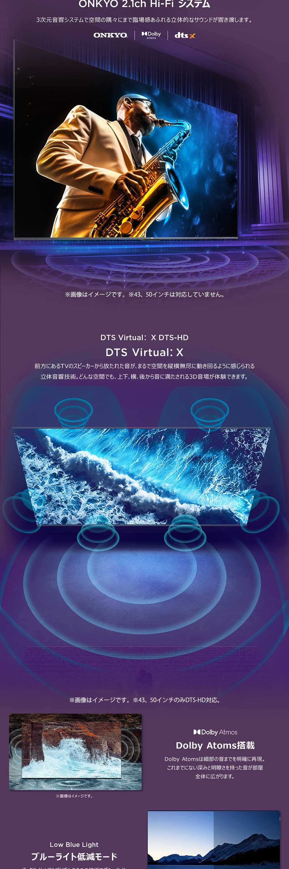 TCL 期間限定ポイント5倍！ テレビ 55型 液晶テレビ TCL 55インチ TV