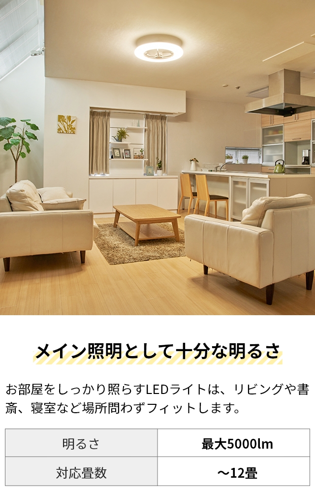 DOSHISHA（ドウシシャ） サーキュライト 選べる豪華特典 シーリング