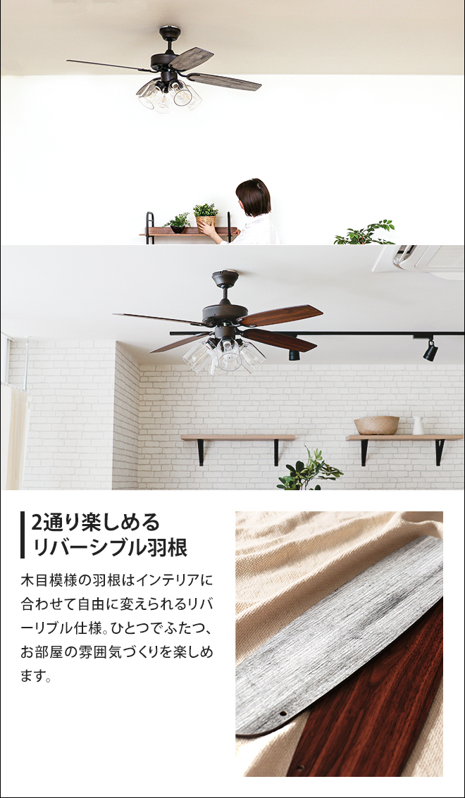 JAVALO ELF シーリングファンライト 選べる豪華特典 ジャヴァロエルフ