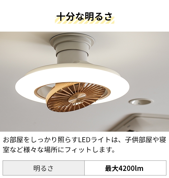 DOSHISHA（ドウシシャ） シーリングライト 選べる豪華特典 サーキュ