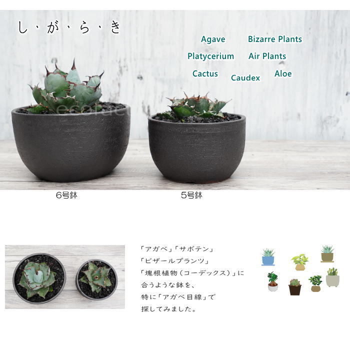 陶器鉢 植木鉢 5号 丸型 艶消し 黒 ブラック おしゃれ プランター 園芸