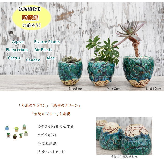 陶器鉢 植木鉢 底穴ありフォレスト（緑）白茶S φ8cm 日本製 園芸鉢