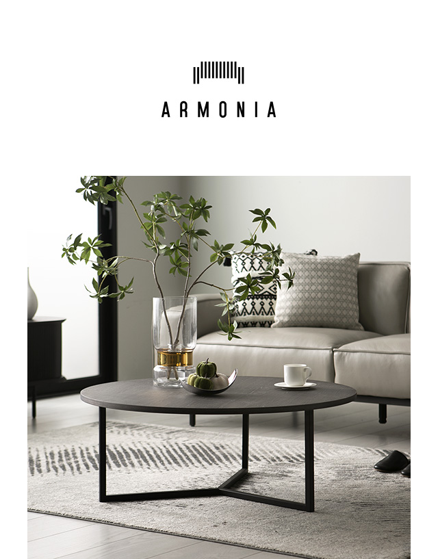 ARMONIA（アルモニア） センターテーブル ローテーブル 木製