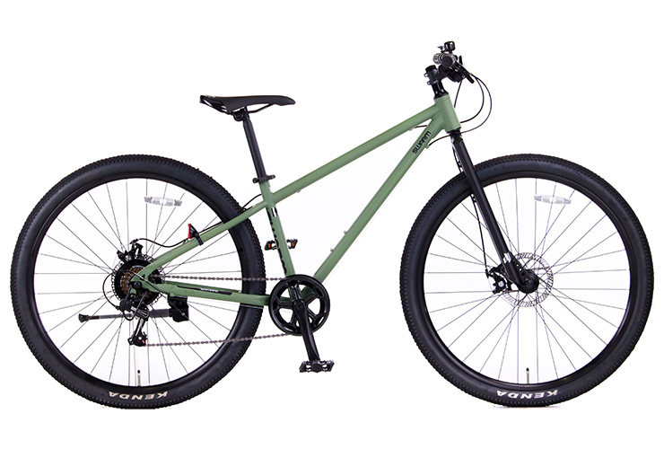 イオン 3/8 ポイント5倍 スワームDJ A 外装6段変速 29型 マウンテン