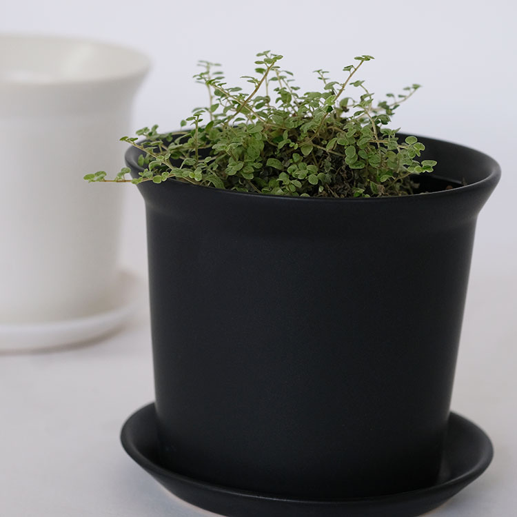 陶器鉢 ぜぜ10 受皿付 セラミック鉢 シンプル 植木鉢 径10cm 高9cm 底