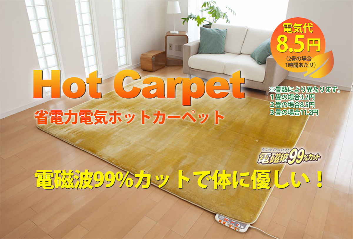 ゼンケン ホットカーペット ホットマット 本体のみ 1畳タイプ 電磁波