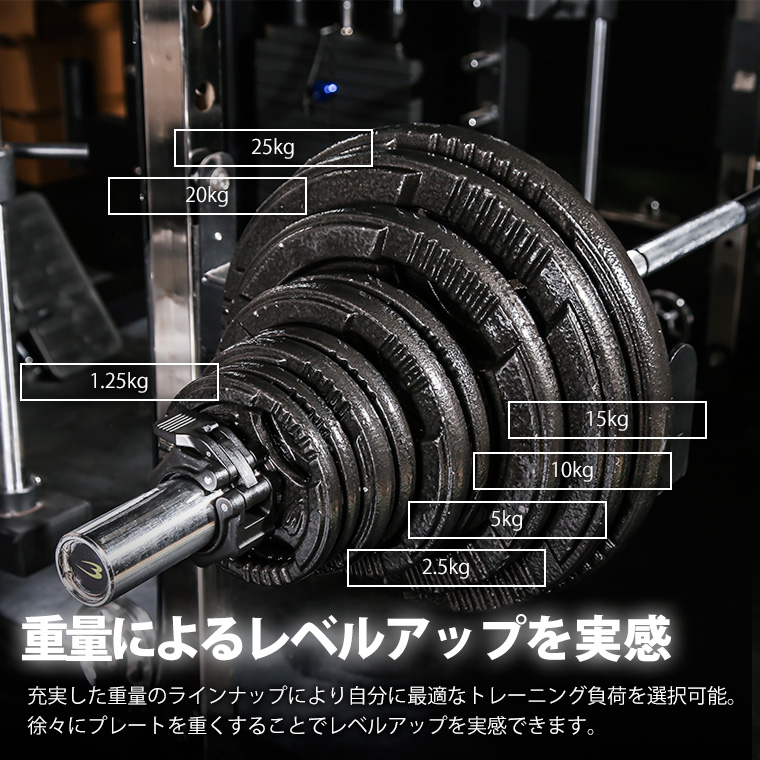 BODYMAKER（ボディメーカー） オリンピックハンマートーンプレート