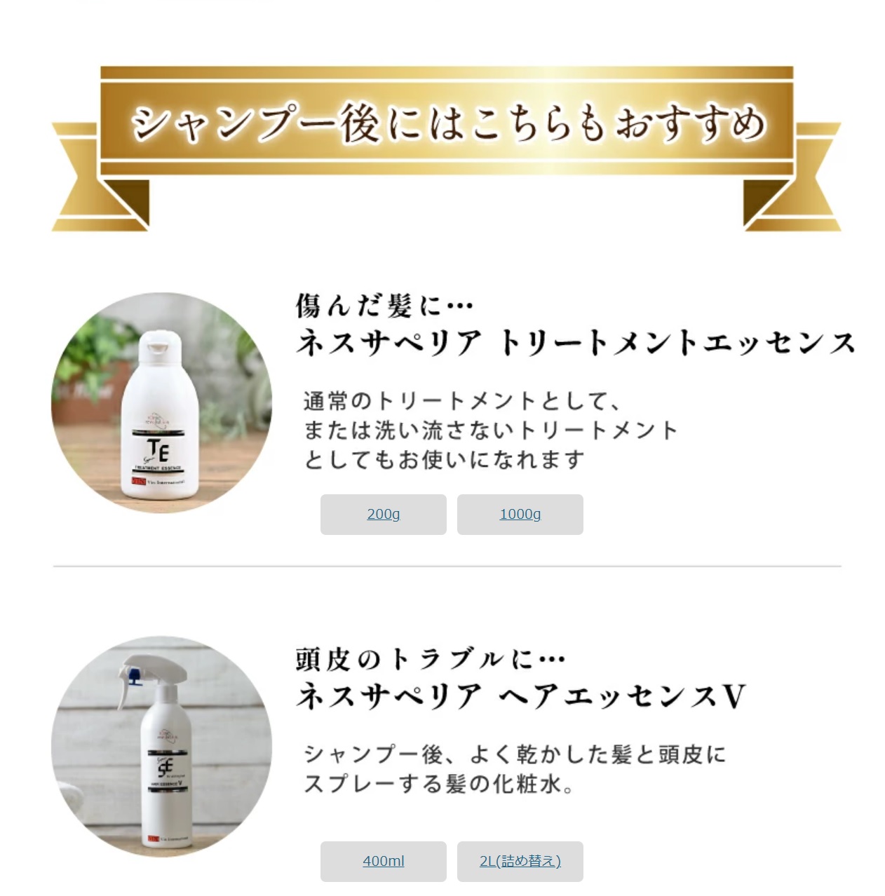 ioneat イオニート シャンプー エッセンスV 1000ml 爆買 : beans
