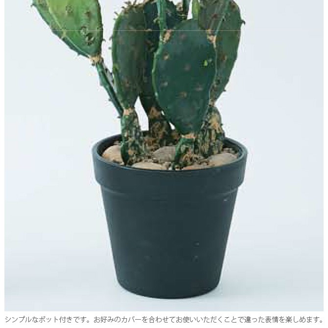 観葉植物 フェイクグリーン インテリアグリーン 多肉植物 ポット Brown