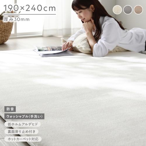 RASIK（ラシク） もっちり 防音 ラグ 約190×240cm ウレタン フランネル