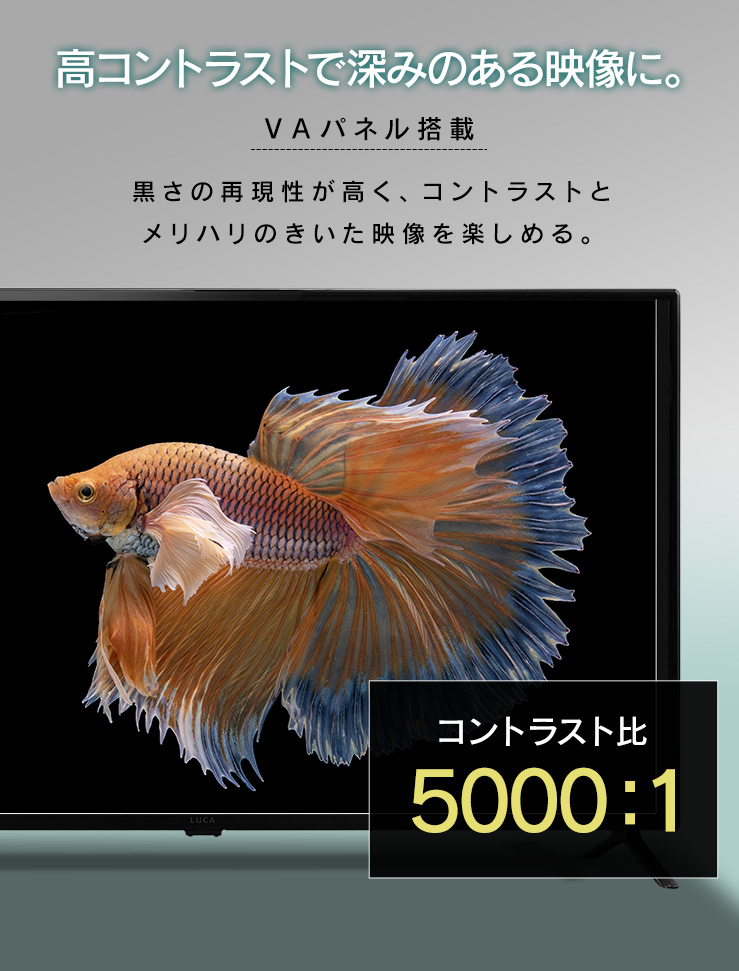 IRIS OHYAMA（アイリスオーヤマ） (設置サービス対象)テレビ 液晶