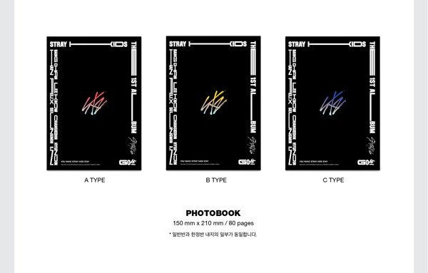 安心の日本国内発送 1st Full Album GO Live 通常盤 B VER. Stray Kids