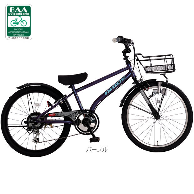20インチ自転車（子供用自転車）（色：パープル系）｜自転車車体
