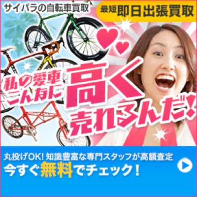 ▽▽モスト MOST WILDCAT F3 ホイール 前後 セット 10s シマノフリー