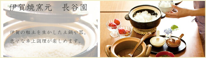 長谷園 伊賀土鍋 中 2〜4人用 ガス火専用 長谷製陶 土鍋 卓上鍋 陶器