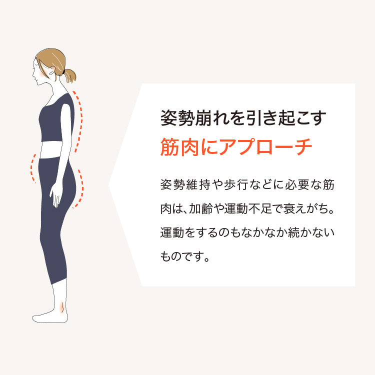 ワイドスクワットホッパー (送料無料) スクワット 筋トレ エクササイズ