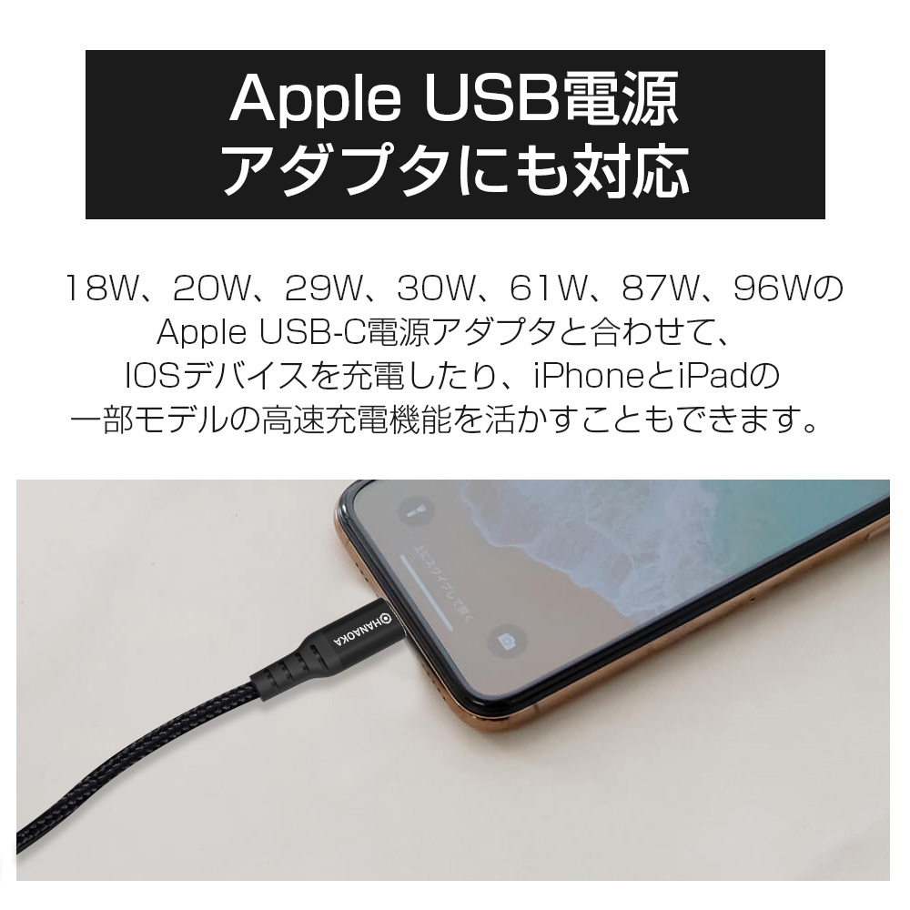iphone12 充電ケーブル Type-C iPhone X iphone11 ケーブル lightning