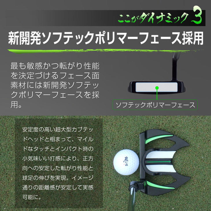 DYNAGOLF（ダイナゴルフ） ゴルフ クラブ メンズ パター マレット型 34