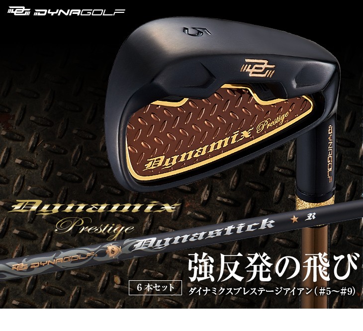 DYNAGOLF（ダイナゴルフ） ゴルフ クラブ アイアンセット メンズ 6本