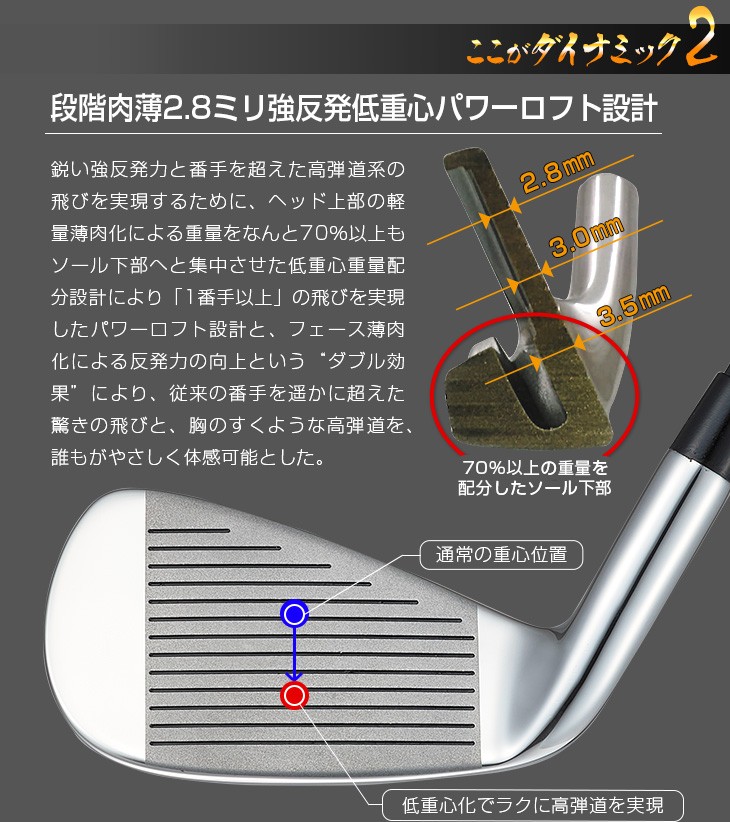 DYNAGOLF（ダイナゴルフ） ゴルフ クラブ メンズ アイアンセット 6本