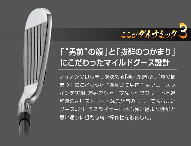 DYNAGOLF（ダイナゴルフ） ゴルフ パーツ アイアン ヘッド 単体 5I 6I