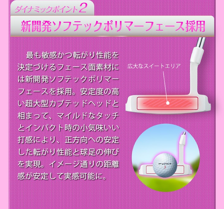 DYNAGOLF（ダイナゴルフ） ゴルフ クラブ レディース パター 33インチ