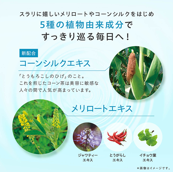 DHC メリロートPlus 30日分 公式 最短即時発送 | ダイエットサプリ