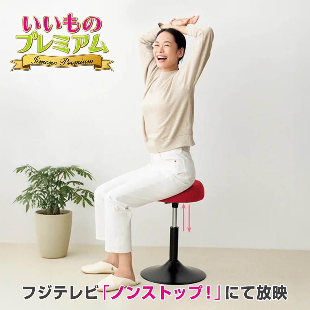 dinos（ディノス） スクワット椅子 椅子 トレーニング ストレッチ いい