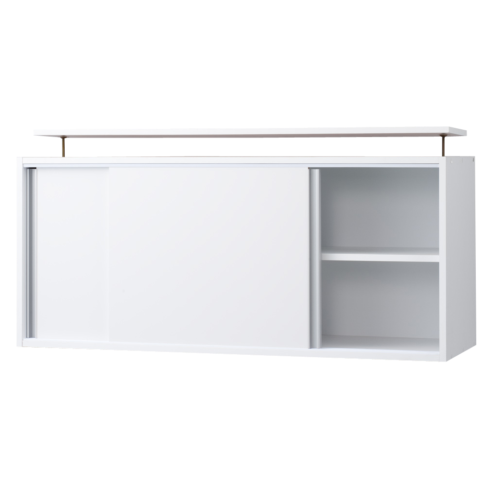 dinos（ディノス） 光沢仕様 引き戸壁面収納本棚 幅120奥行40突っ張り