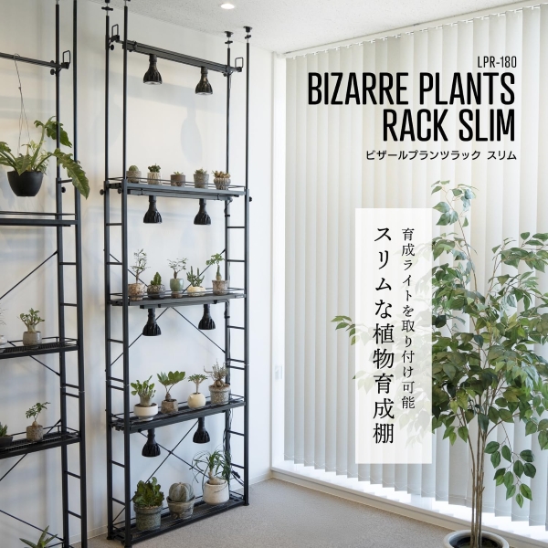 ビビラボ（BIBILAB） ビザールプランツラックスリム LPR-180-BK 植物