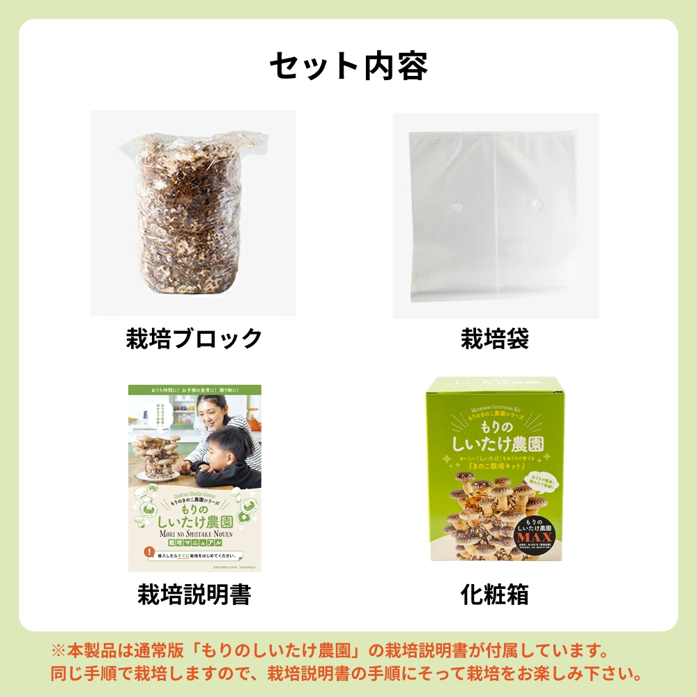 森のきのこ倶楽部 正規販売店 しいたけ栽培キット もりのしいたけ農園