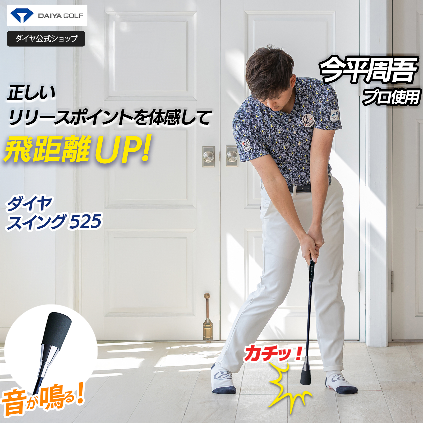 DAIYA GOLF P10倍 3/10まで限定特価 スイング練習器具 ゴルフ練習器具