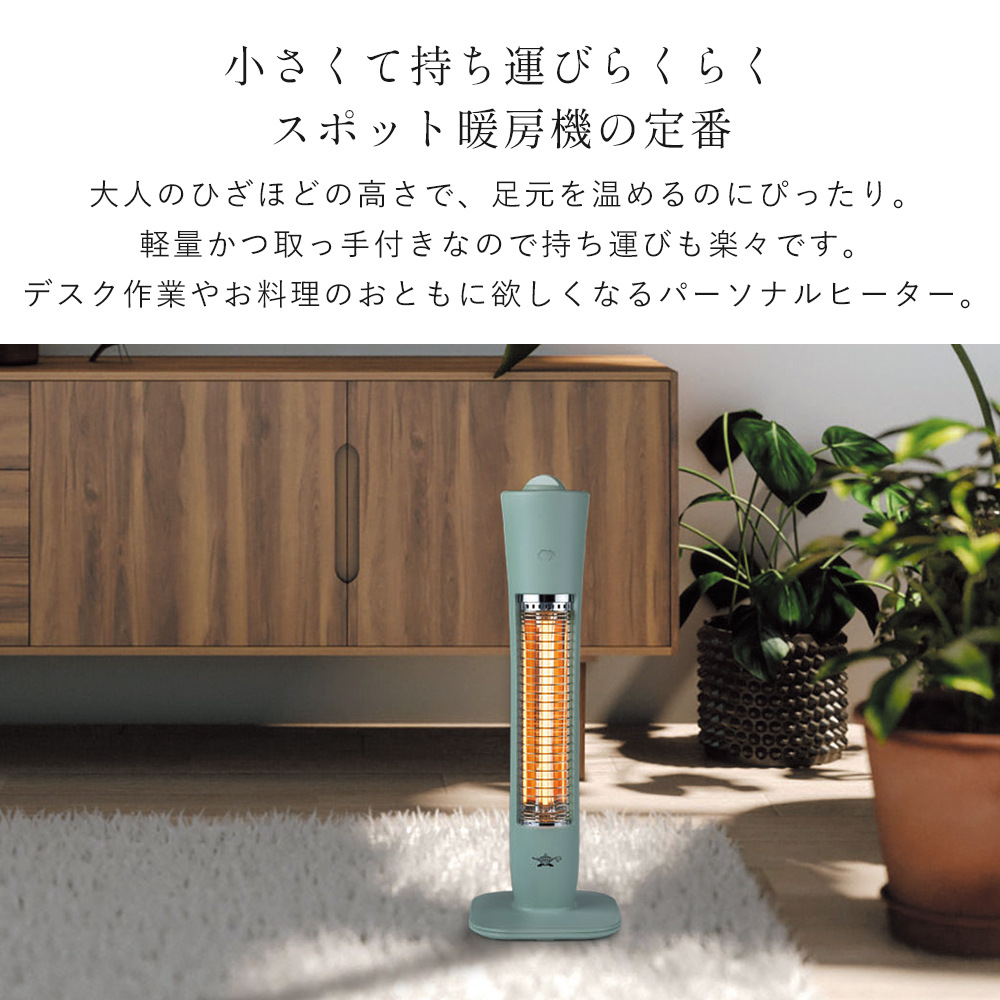 アラジン（Aladdin） (豪華2大特典) 遠赤グラファイトヒーター