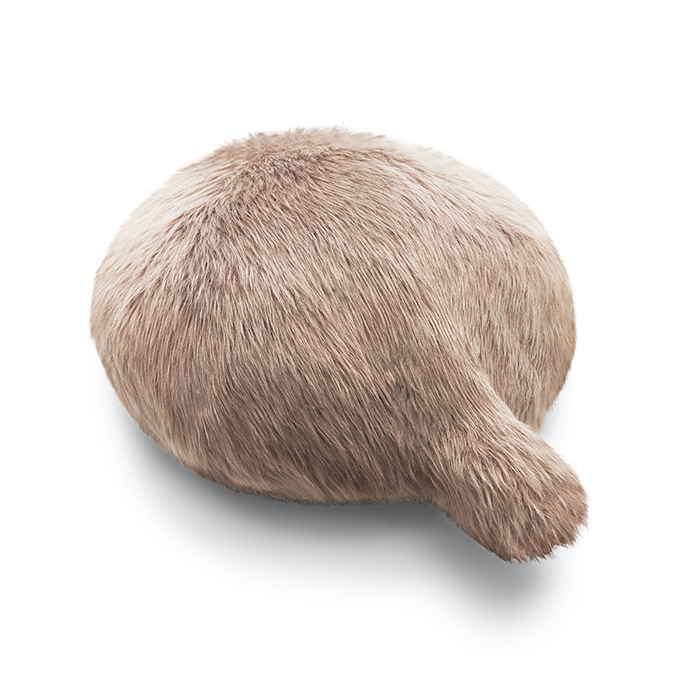 ユカイ工学 (豪華2大特典)Petit Qoobo プチ・クーボ 電子ペット ネコ