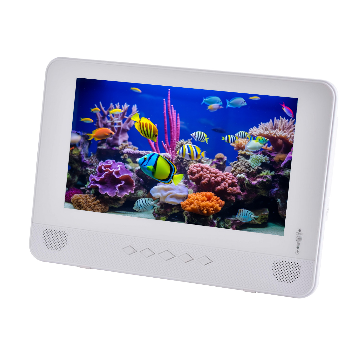 山善（YAMAZEN） ポータブルDVDプレーヤー 地デジ対応 9インチ 防水