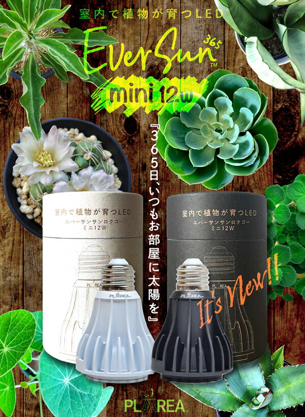 ゼンスイ 植物育成ライト EVERSUN365 MINI クリップ/スタンド/ライト