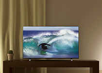 REGZA（レグザ） 46インチ〜52インチ未満 東芝 4K REGZA 50C350X [50V