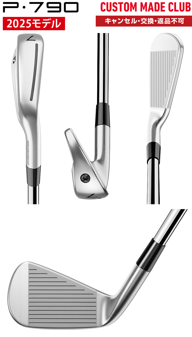 TaylorMade（テーラーメイド） P790アイアン NSPRO MODUS3 TOUR115