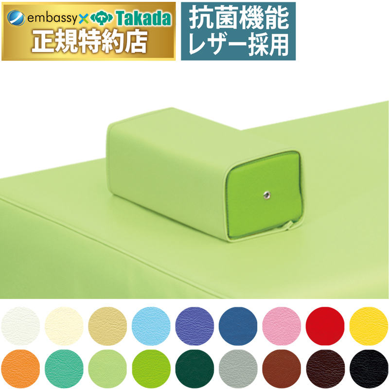 高田ベッド製作所 高田ベッド カラー角マクラ TB-77c-01 治療用まくら