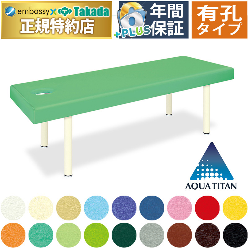 高田ベッド製作所 高田ベッド 無孔DXベッド（ファイテン） TB-1644