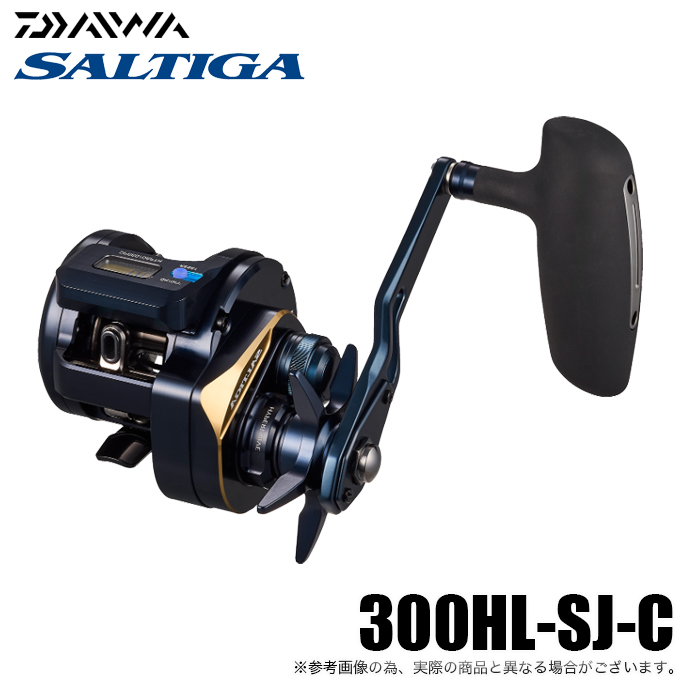 DAIWA（ダイワ） (5)ダイワ 25 ソルティガ IC 300HL-SJ-C 左ハンドル