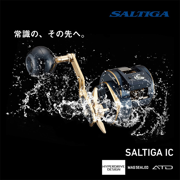 DAIWA（ダイワ） 21 ソルティガ IC 100 (右ハンドル) 2021年モデル