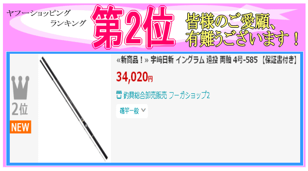宇崎日新 イングラム 遠投 両軸 4号-585 （保証書付き） : 釣具総合
