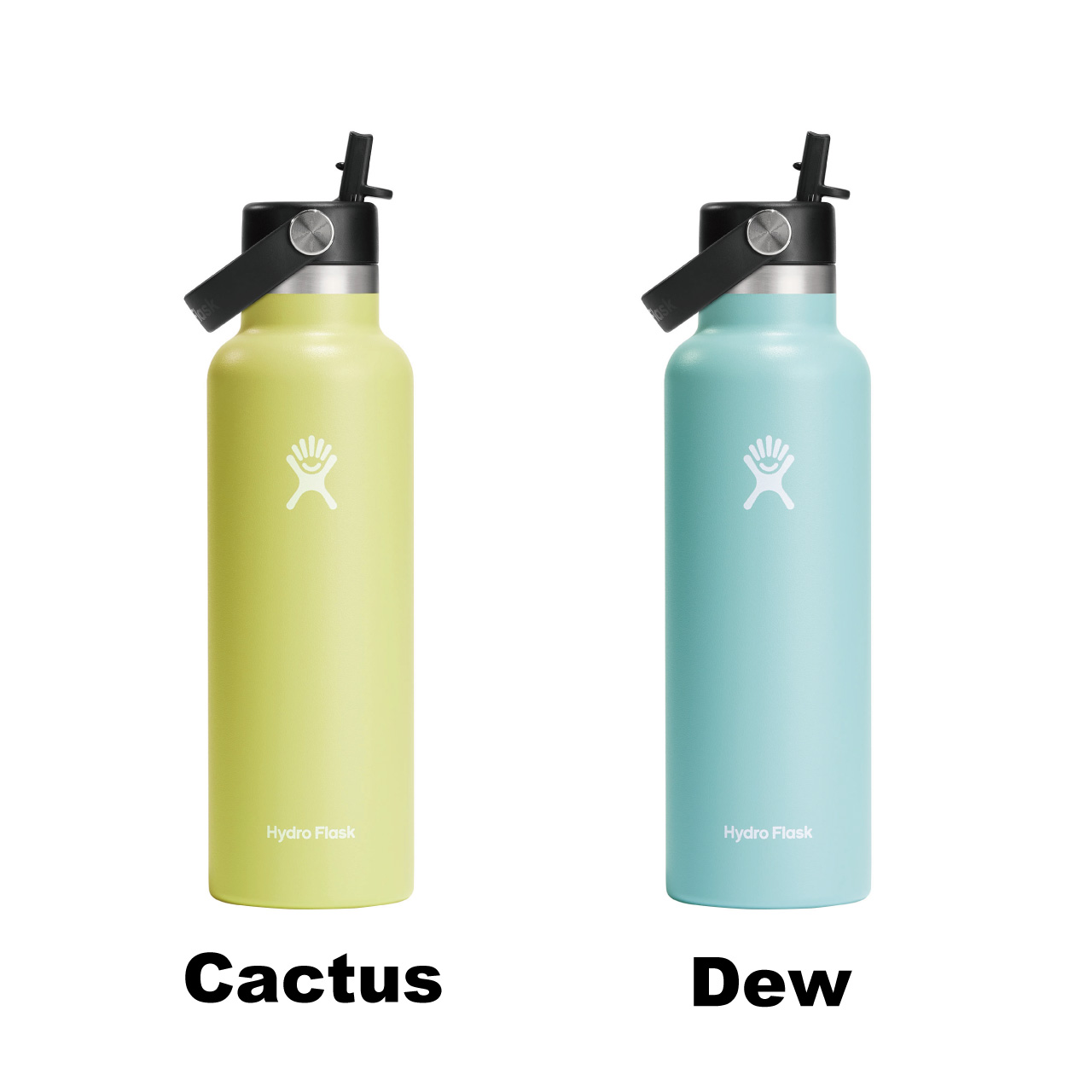 HYDRO FLASK（ハイドロフラスク） ハイドレーション スタンダード