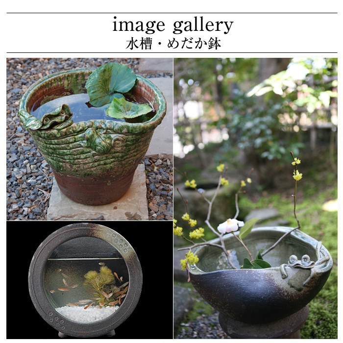 信楽焼 めだか鉢 陶器 日本製 金魚鉢 メダカ 鉢 インテリア 置物 容器