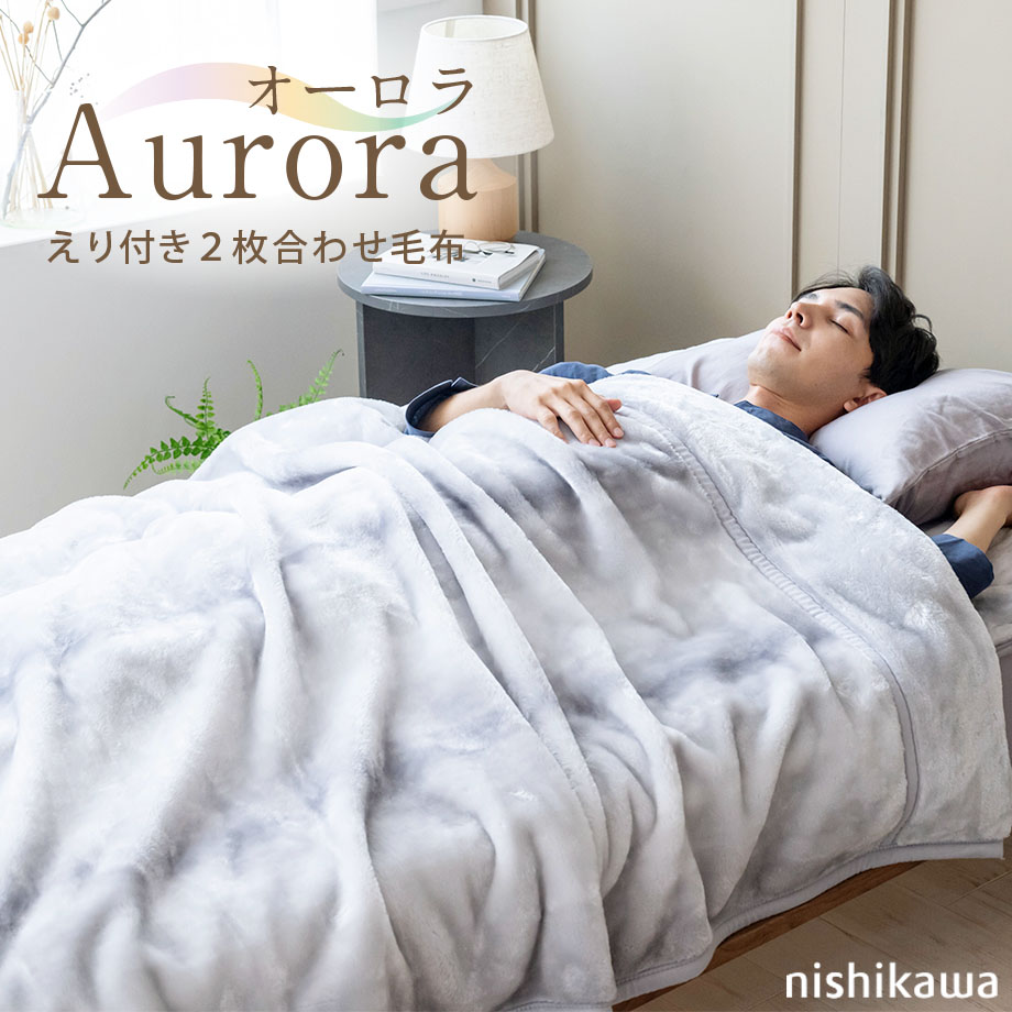 西川（nishikawa） 毛布 シングル 2枚合わせ オーロラ S シングル